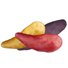 Sunset Fingerlings™