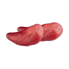 Red Fingerling™