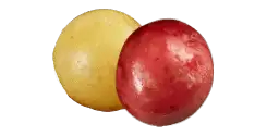 Sunburst Blend™